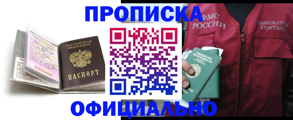 прописка 2025 в Камышине